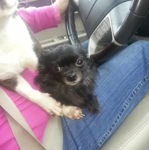 Meet your Posher, Leeann